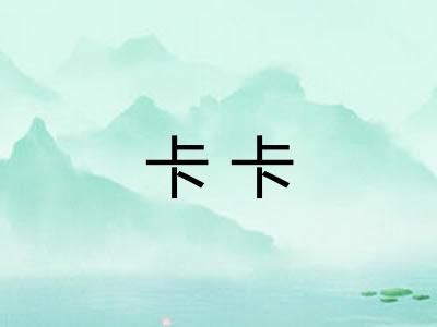 卡卡 卡卡