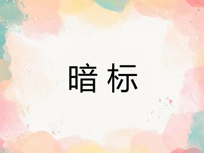 暗标 暗标