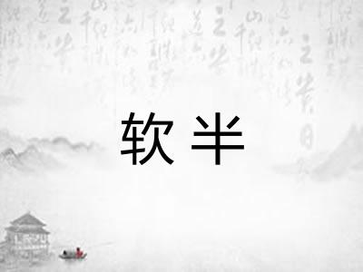 软半 软半