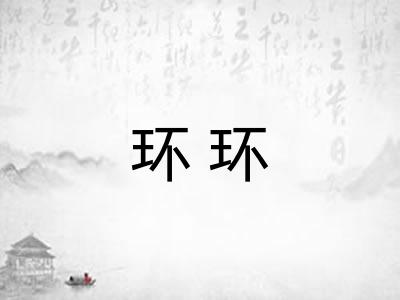 环环 环环