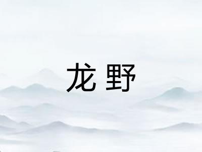 龙野 龙野
