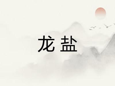 龙盐 龙盐