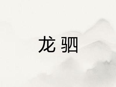 龙驷 龙驷