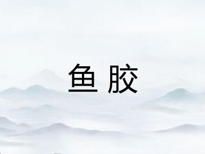 鱼胶 鱼胶