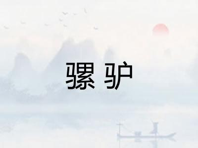 骡驴 骡驴