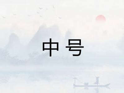 中号