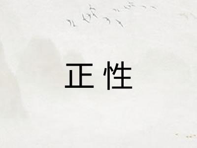 正性