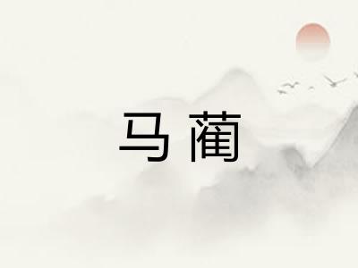 马蔺 马蔺