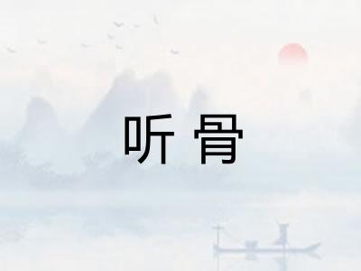 听骨 听骨