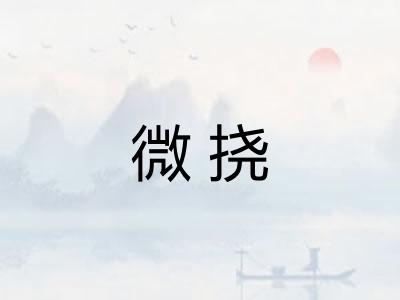 微挠 微挠