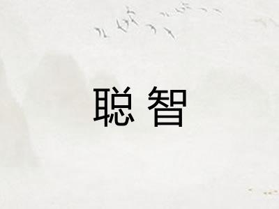 聪智