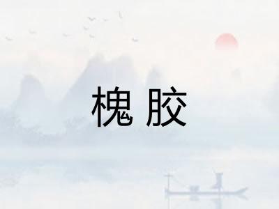槐胶 槐胶