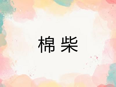棉柴 棉柴