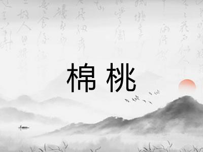 棉桃 棉桃