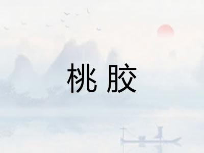 桃胶 桃胶