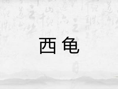 西龟 西龟