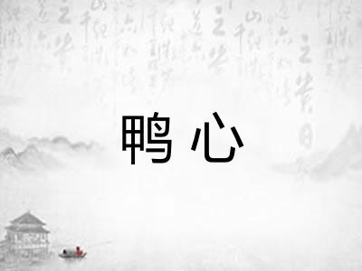 鸭心 鸭心