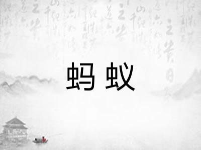 蚂蚁 蚂蚁