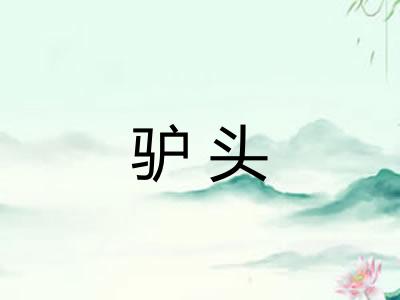 驴头 驴头