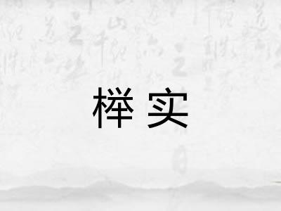 榉实 榉实