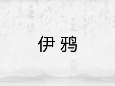 伊鸦 伊鸦