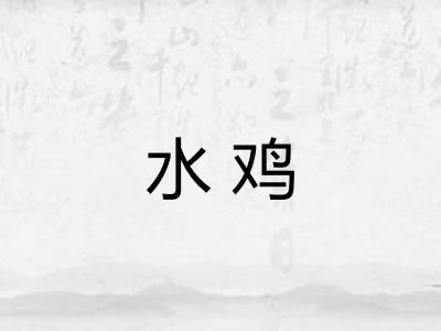 水鸡 水鸡