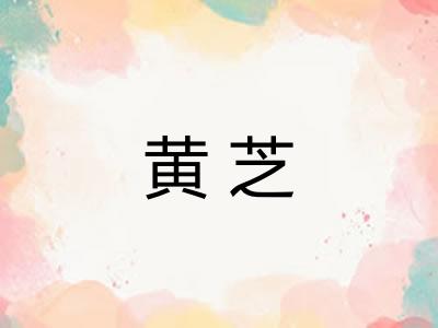 黄芝 黄芝