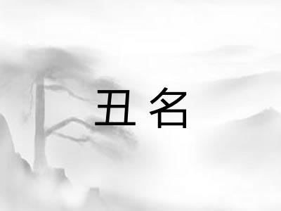 丑名