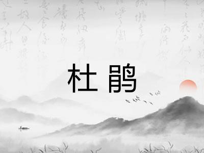 杜鹃 杜鹃
