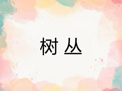 树丛