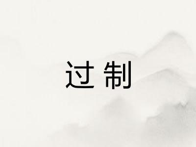 过制
