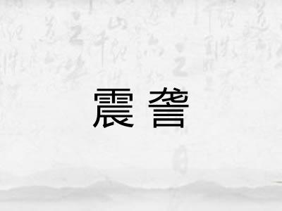 震詟 震詟