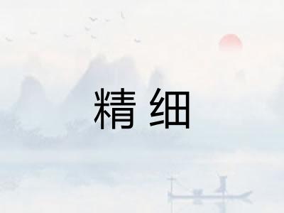 精细 精细