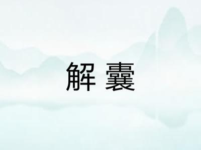 解囊