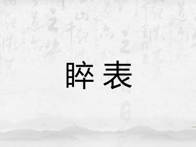 睟表 睟表