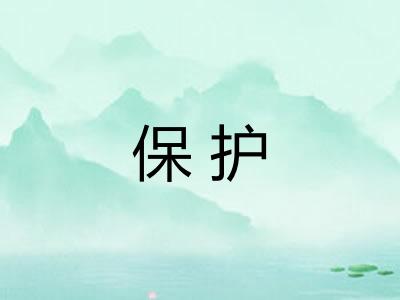 保护 保护
