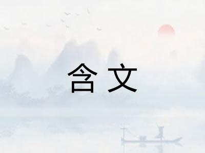 含文 含文