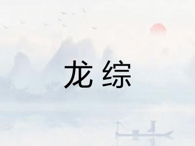 龙综 龙综