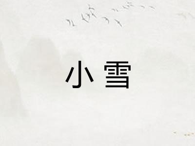小雪 小雪