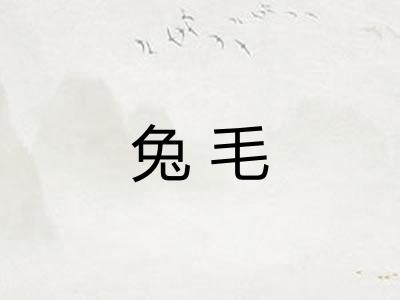 兔毛
