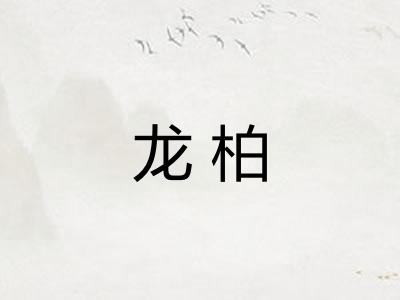 龙柏 龙柏