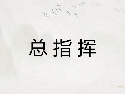 总指挥 总指挥