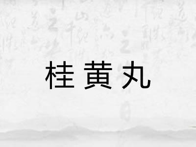 桂黄丸 桂黄丸
