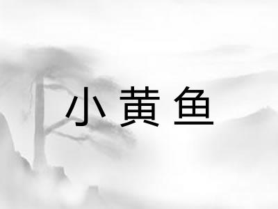 小黄鱼 小黄鱼