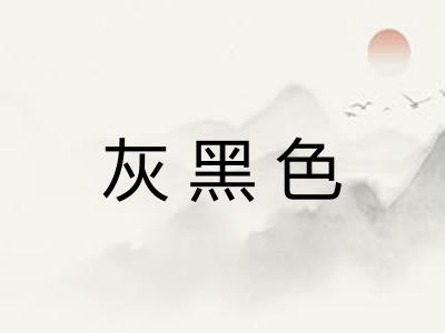 灰黑色 灰黑色