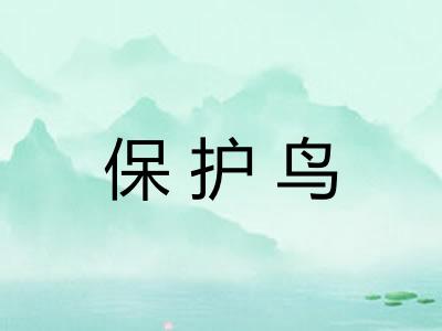 保护鸟 保护鸟