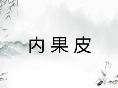 内果皮 内果皮