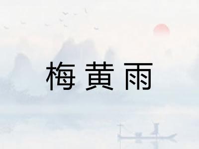 梅黄雨 梅黄雨