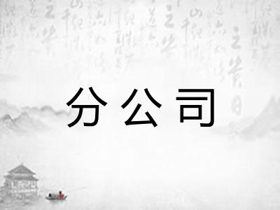 分公司 分公司