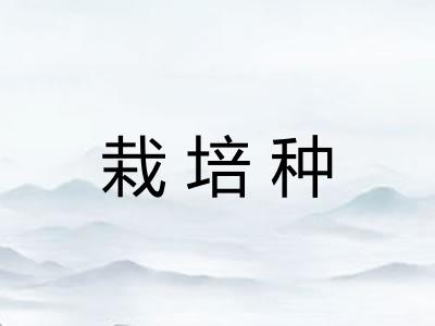 栽培种 栽培种